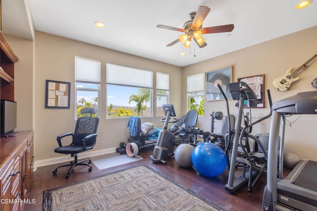 workout room with wood-type flooring and ceiling fan