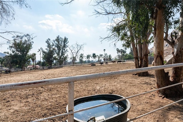 view of yard with a rural view