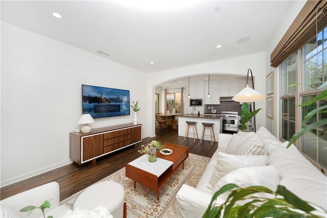 living room with a healthy amount of sunlight, dark hardwood / wood-style floors, and sink