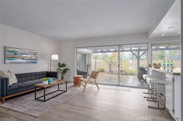 living room featuring plenty of natural light and wood finished floors