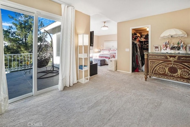 carpeted bedroom with multiple windows, a walk in closet, and access to exterior