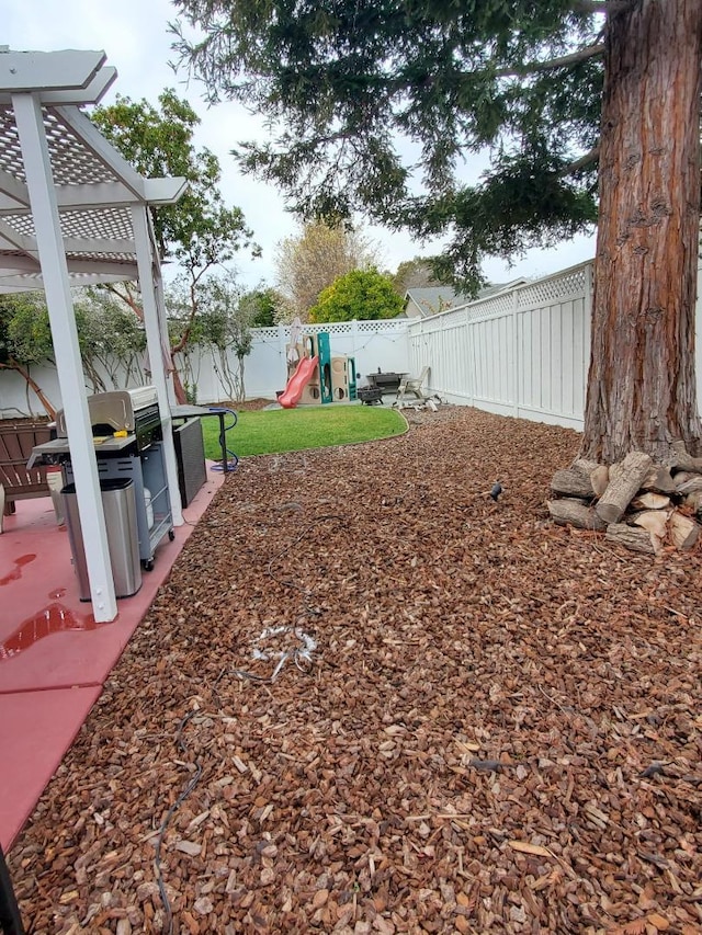 view of yard featuring a patio area and a playground