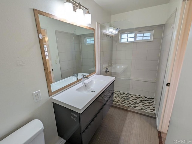 bathroom with vanity, a tile shower, and toilet