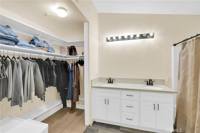 bathroom with hardwood / wood-style flooring and vanity