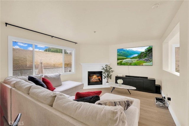 living room with light wood-type flooring