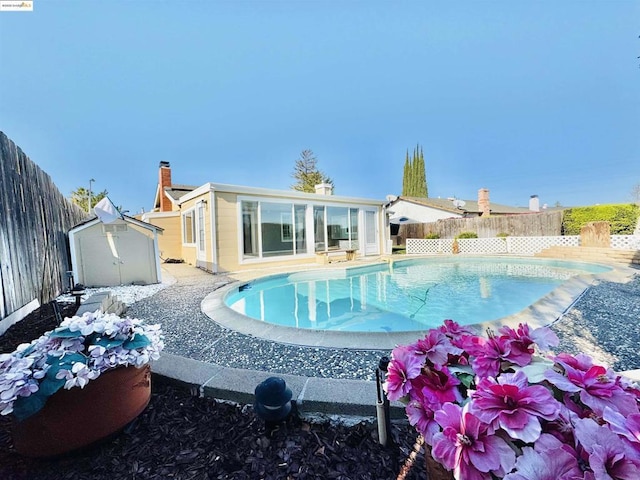 view of swimming pool featuring a storage unit