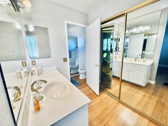 bathroom featuring a bidet, vanity, wood-type flooring, and toilet