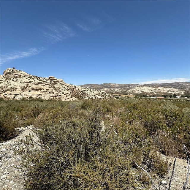 Listing photo 2 for 0 Farris Ranch Rd, Phelan CA 92371