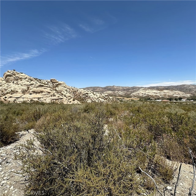 Listing photo 2 for 0 Farris Ranch Rd, Phelan CA 92371