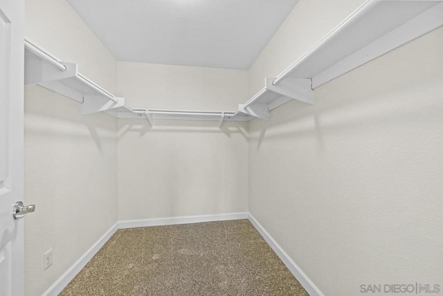 spacious closet with carpet