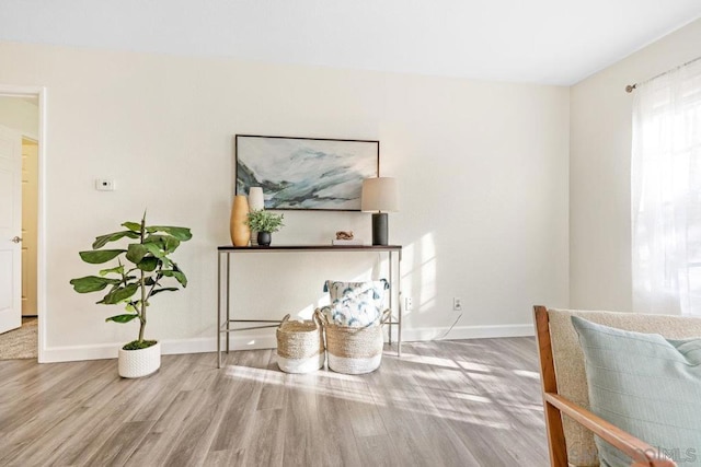 interior space featuring hardwood / wood-style floors