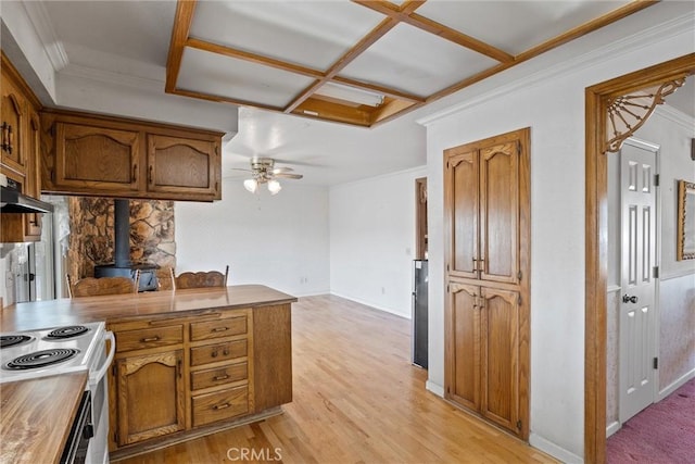 kitchen featuring a wood stove, electric range, ceiling fan, crown molding, and light hardwood / wood-style flooring