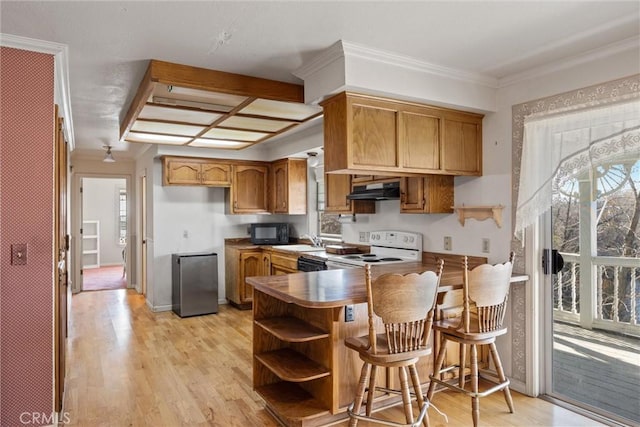 kitchen featuring light hardwood / wood-style flooring, a breakfast bar area, white range with electric stovetop, and kitchen peninsula