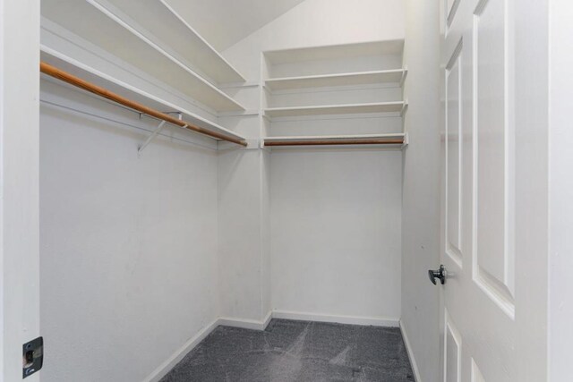 walk in closet featuring vaulted ceiling and dark carpet