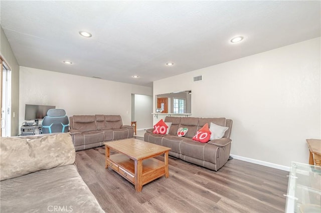 living room featuring wood-type flooring