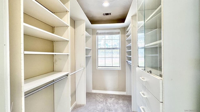 spacious closet with light carpet and a tray ceiling