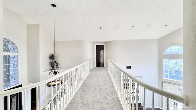 corridor featuring light colored carpet and high vaulted ceiling