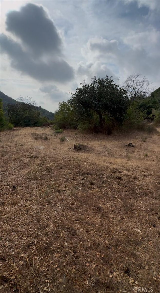 2472 Pointer Ln, Bel Air CA, 90077 land for sale