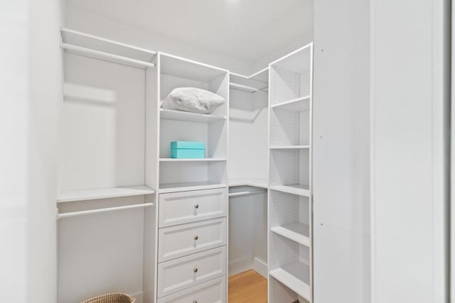 walk in closet featuring light hardwood / wood-style floors