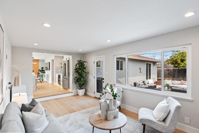 living room featuring wood-type flooring