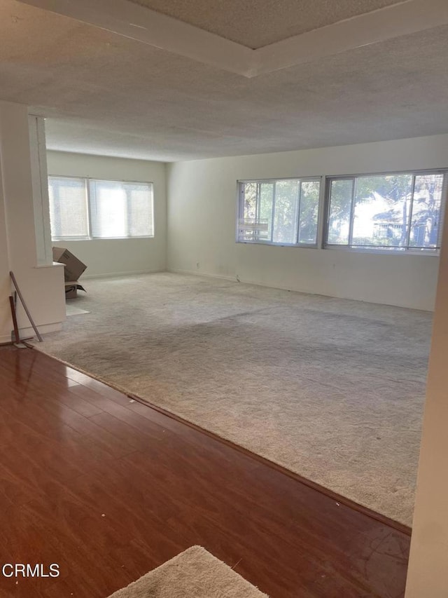 spare room with a textured ceiling and carpet