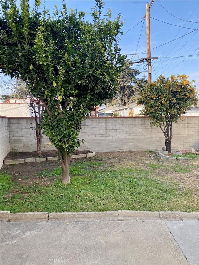 view of yard with a fenced backyard