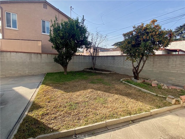 view of yard featuring a fenced backyard