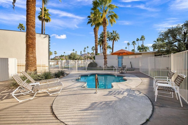 view of swimming pool featuring a patio