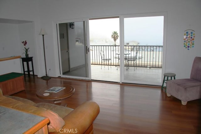 living room featuring hardwood / wood-style flooring