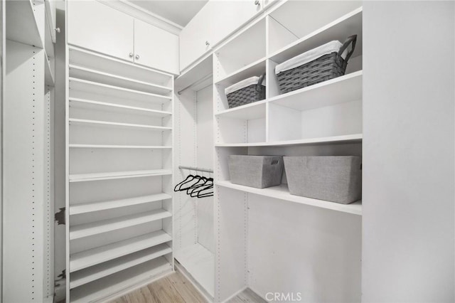 spacious closet featuring light hardwood / wood-style floors