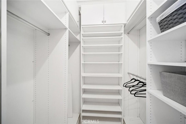 view of walk in closet