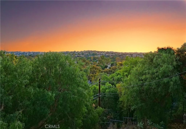 view of nature at dusk