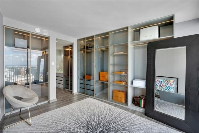 mudroom with dark wood-type flooring