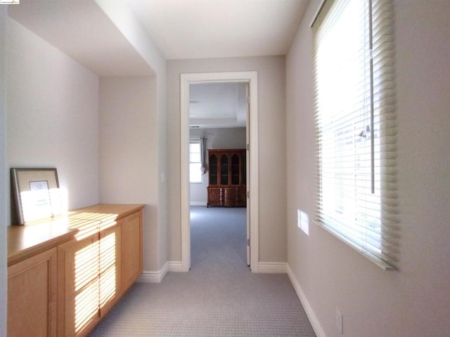 hall featuring a wealth of natural light and carpet floors