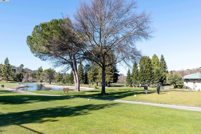 view of community with a water view and a lawn