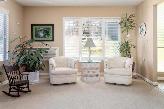 living area featuring carpet flooring