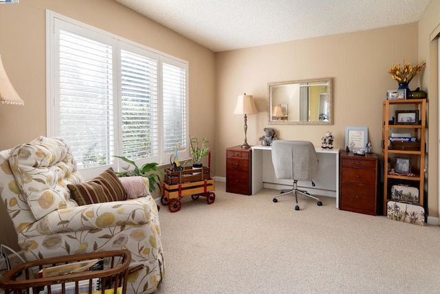 carpeted home office featuring a textured ceiling