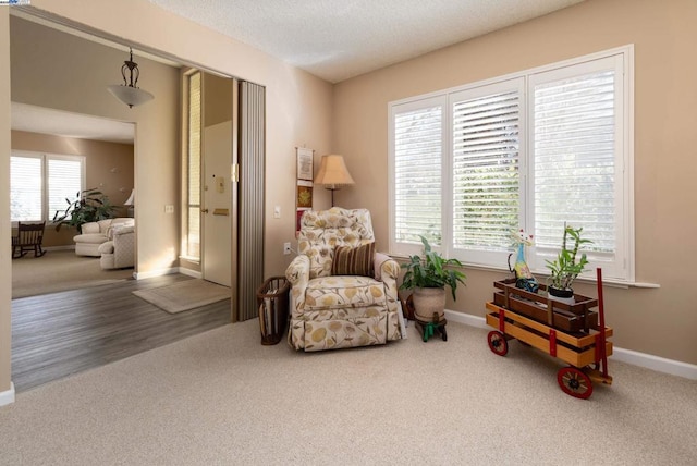 sitting room with carpet and a textured ceiling