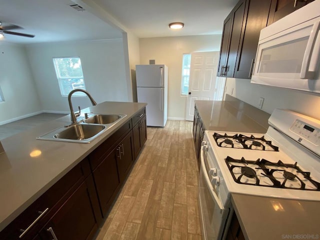 kitchen featuring sink, white appliances, ceiling fan, dark brown cabinets, and light wood-type flooring