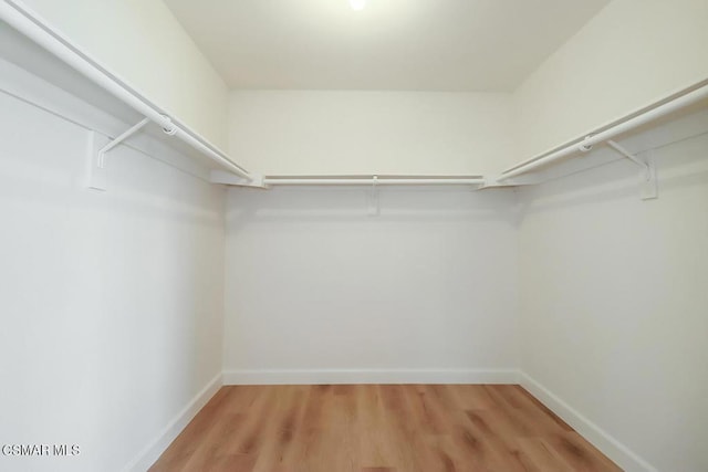 walk in closet with wood-type flooring