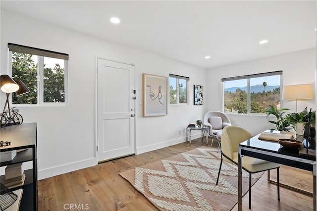 office area featuring hardwood / wood-style floors