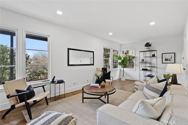 living room featuring light wood-type flooring