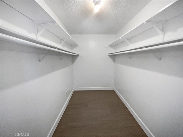 spacious closet featuring dark wood-type flooring