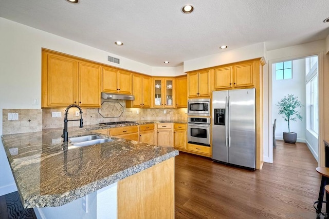 kitchen with appliances with stainless steel finishes, dark hardwood / wood-style floors, sink, decorative backsplash, and kitchen peninsula