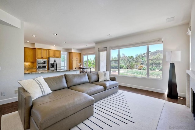 living room with dark hardwood / wood-style floors