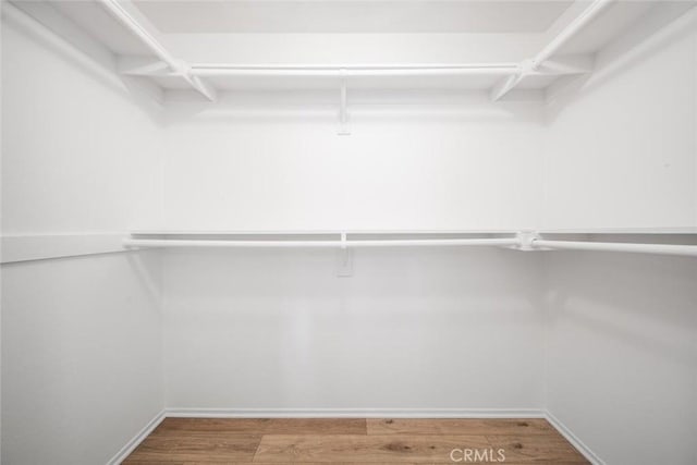 spacious closet featuring wood-type flooring