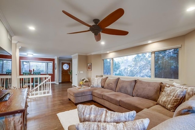 living room featuring crown molding, ceiling fan, wood-type flooring, and plenty of natural light