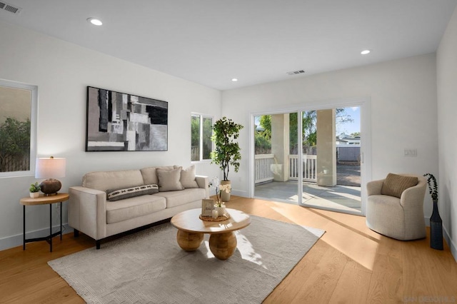 living room featuring wood-type flooring