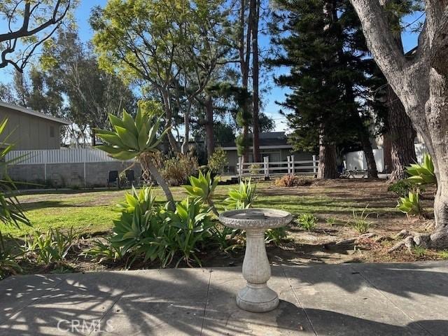 view of yard with a patio area