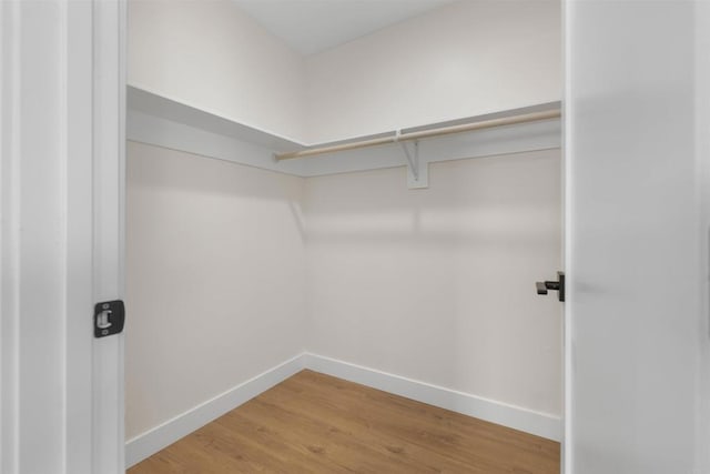 spacious closet featuring wood-type flooring